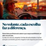 Motorista Profissional: muito além de conduzir um veículo
